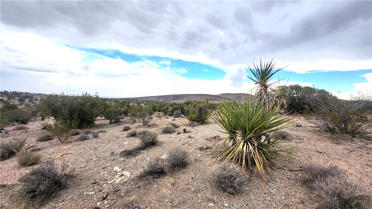 11353 N QUINTANA Road