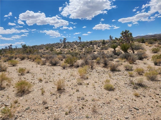 27445 N DRIFTWOOD DR, MEADVIEW, AZ 86444 - Image 0d9fb9d67dfb7b2ea6583618e68f55fc/2578139289