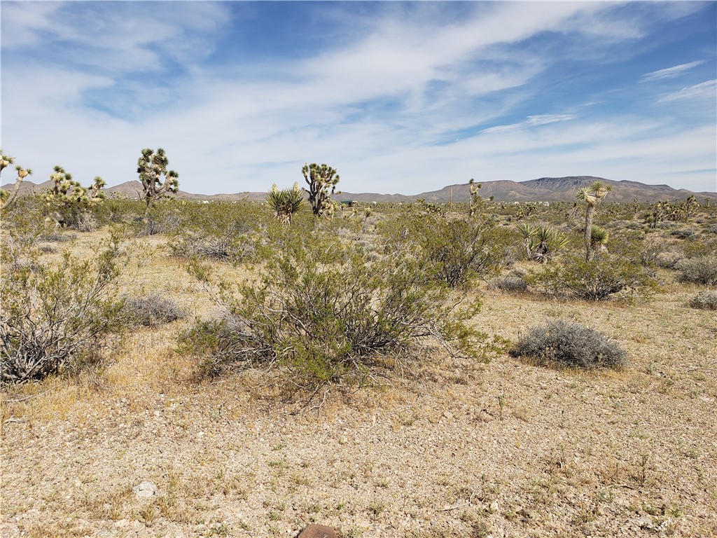 20594 N Wild Horse Drive