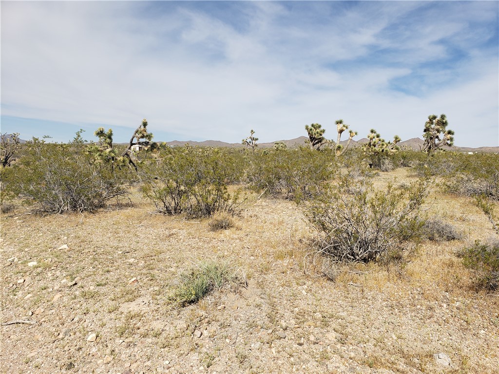 20594 N Wild Horse Drive