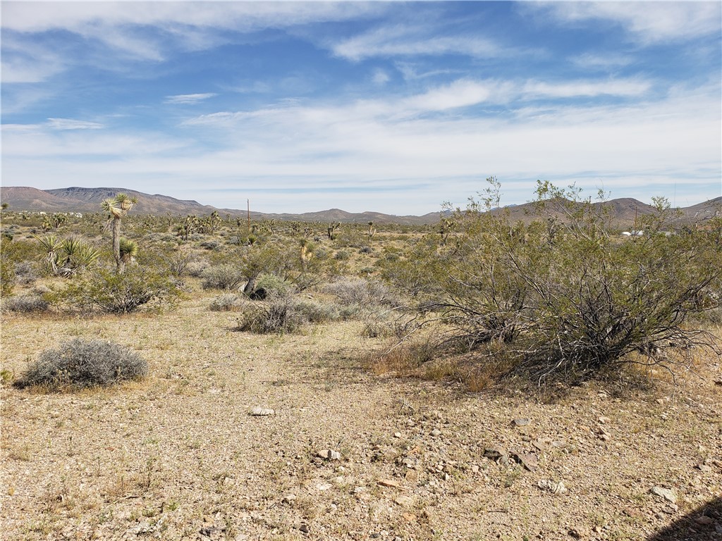 20594 N Wild Horse Drive