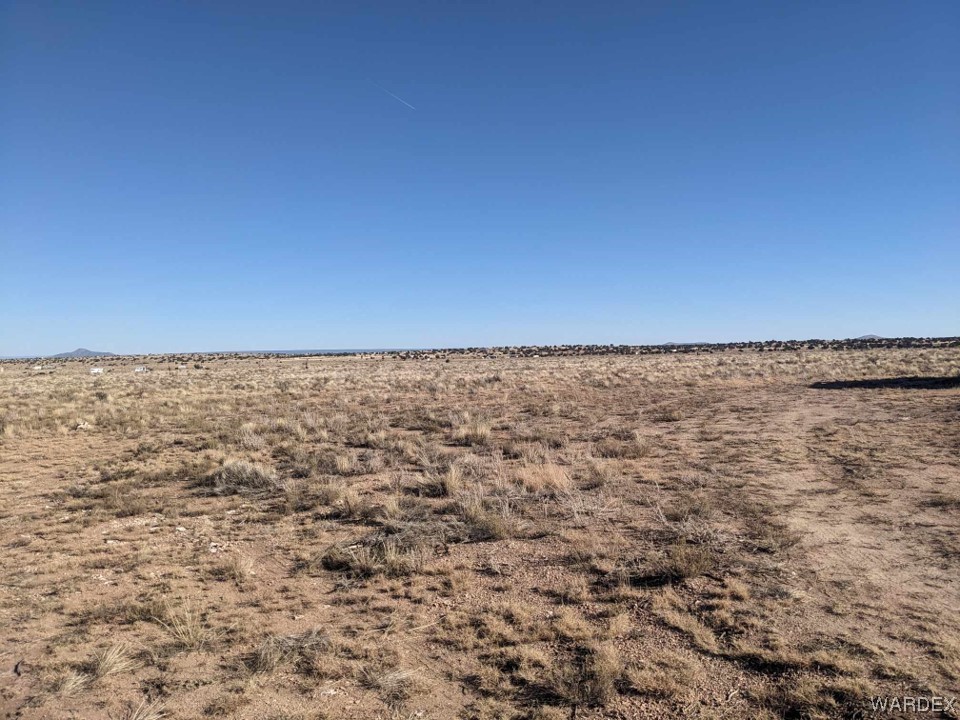 View Williams, AZ 86046 land