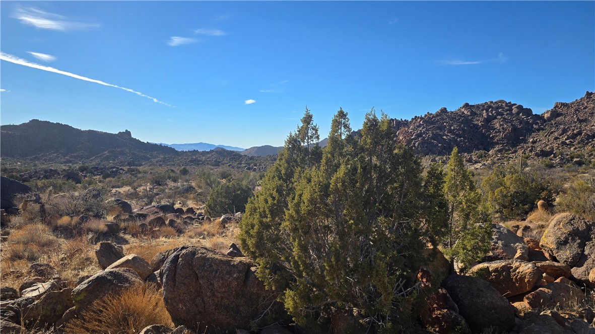 3618 S Cattle Kate Road