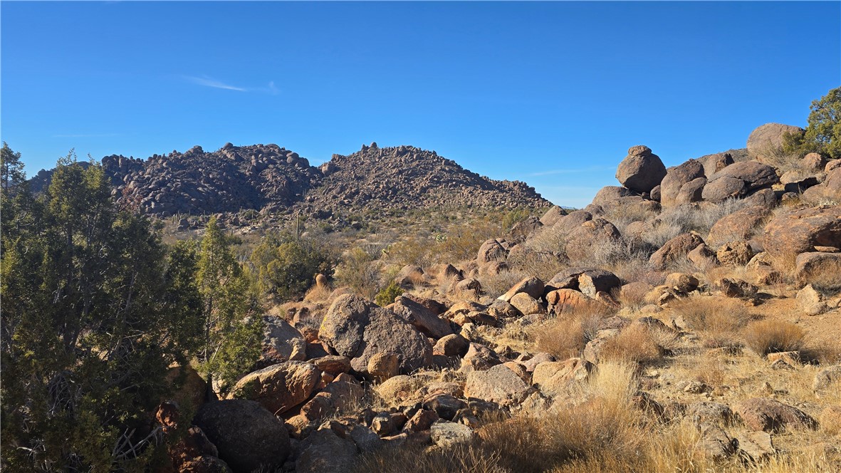 3618 S Cattle Kate Road