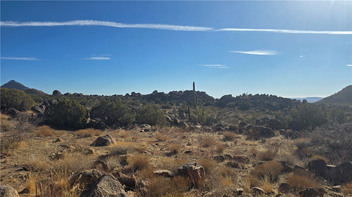 3618 S Cattle Kate Road