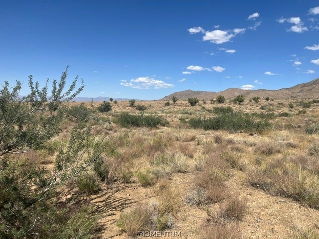313-57-019 N. Canyon Road
