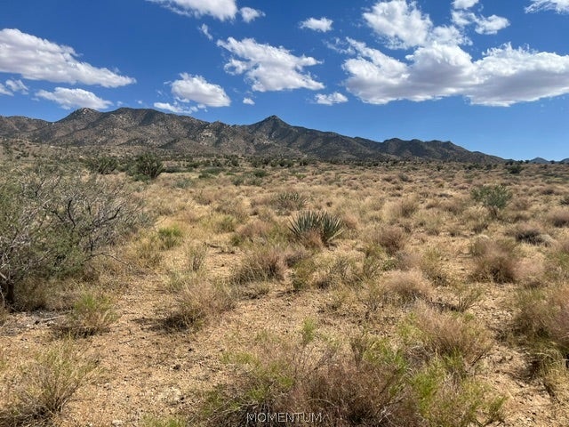 313-57-019 N. Canyon Road