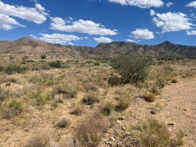313-57-019 N. Canyon Road