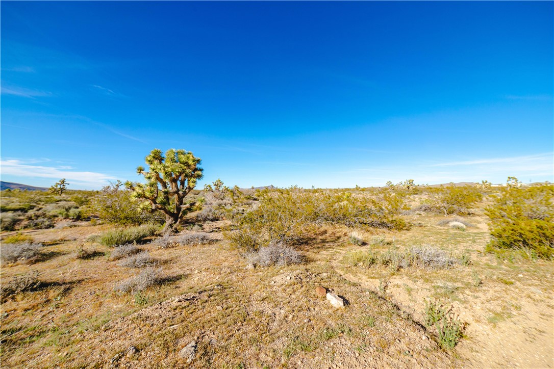 9419 W Balboa Drive 17