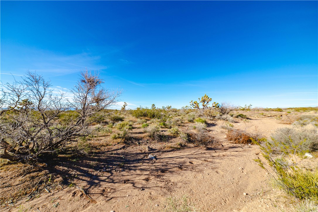 9419 W Balboa Drive 17