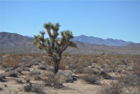 3271 S Arlington Road Yucca AZ 86438