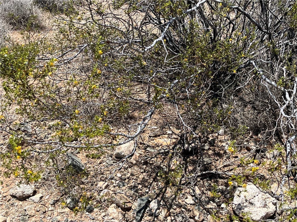 0000 W Commodore Drive