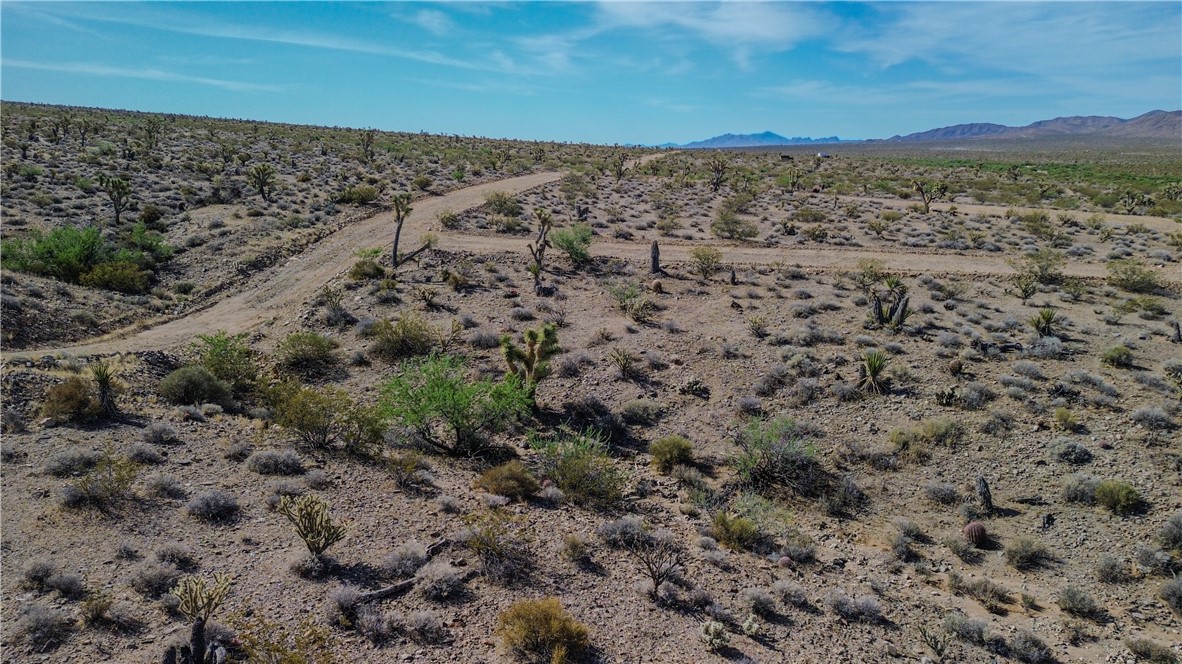 11LOTS N GREGGS Highway