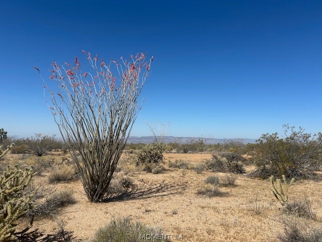 244-08-259 Apache Drive