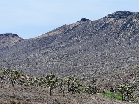 1280 Acres APN 329-02-018 White Hills Road White Hills AZ 86445