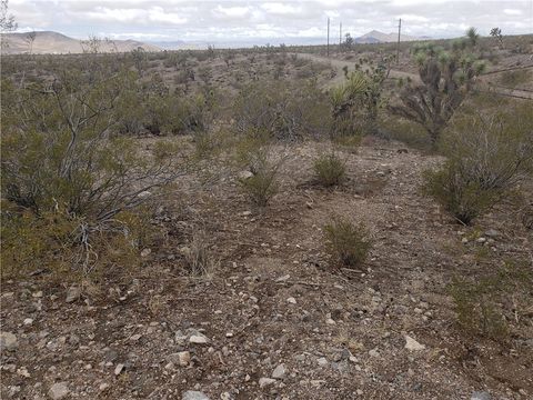 8446 & 8454 W Olema Drive 232 & 233 White Hills AZ 86445