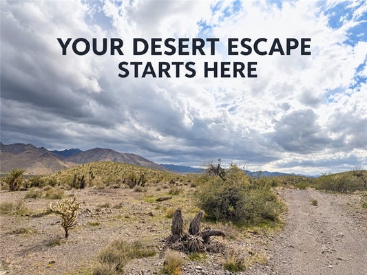 319-13-247 N KATHERINE DRIVE, DOLAN SPRINGS, AZ 86441 - Image 2d098e7f264bdb6ecd16528e2e380bb1/2332327153