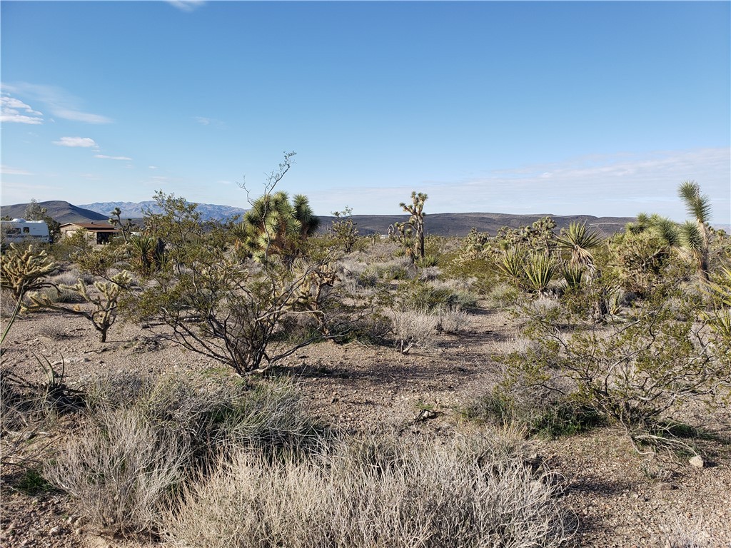 20699 & 20731 N Silver Eagle Drive