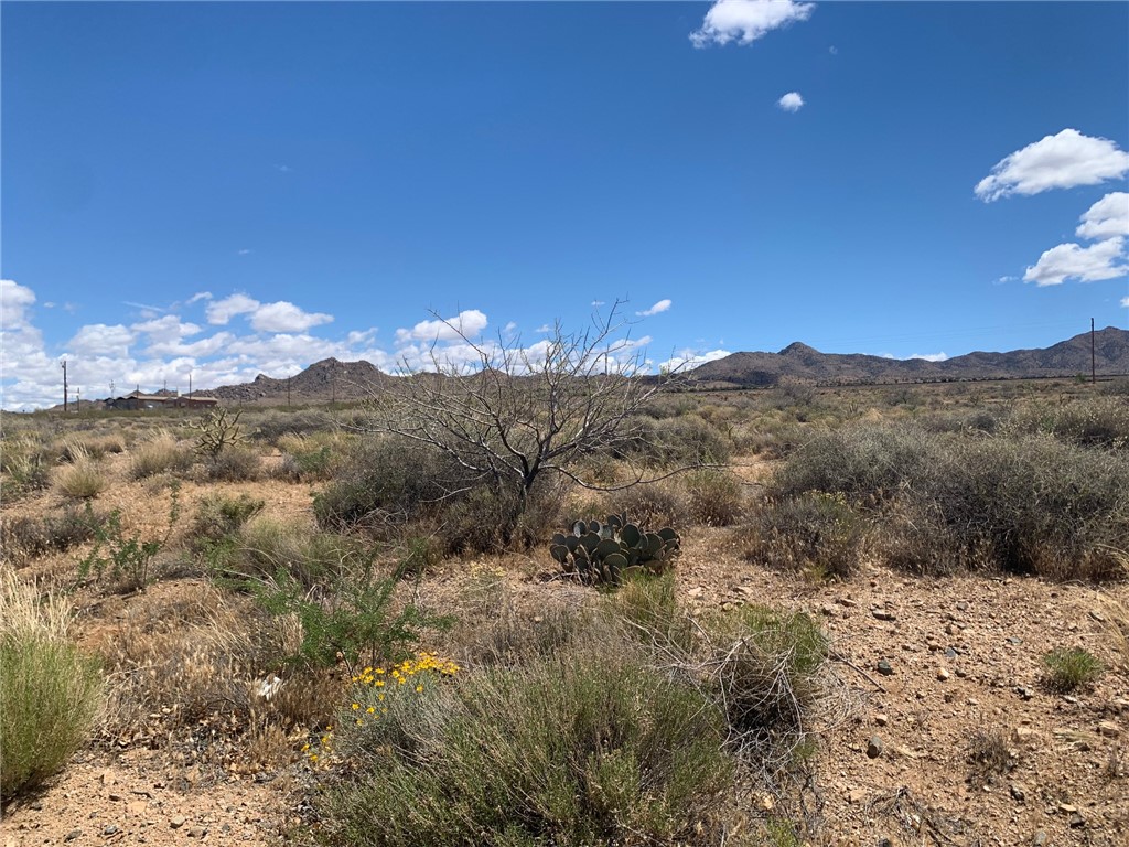 9410 N Bridlebit Avenue