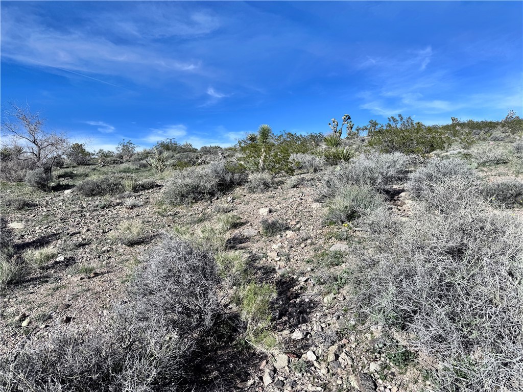 8145 W San Pablo Drive