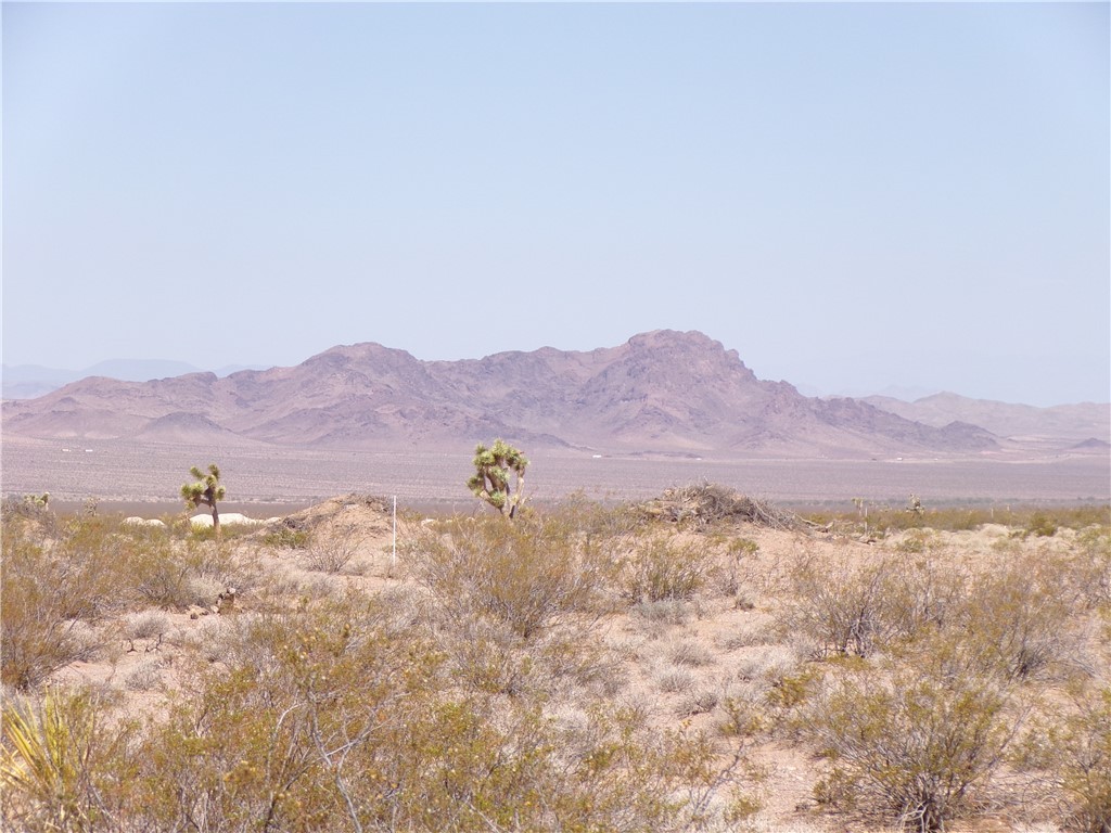 11402 Maverick Drive