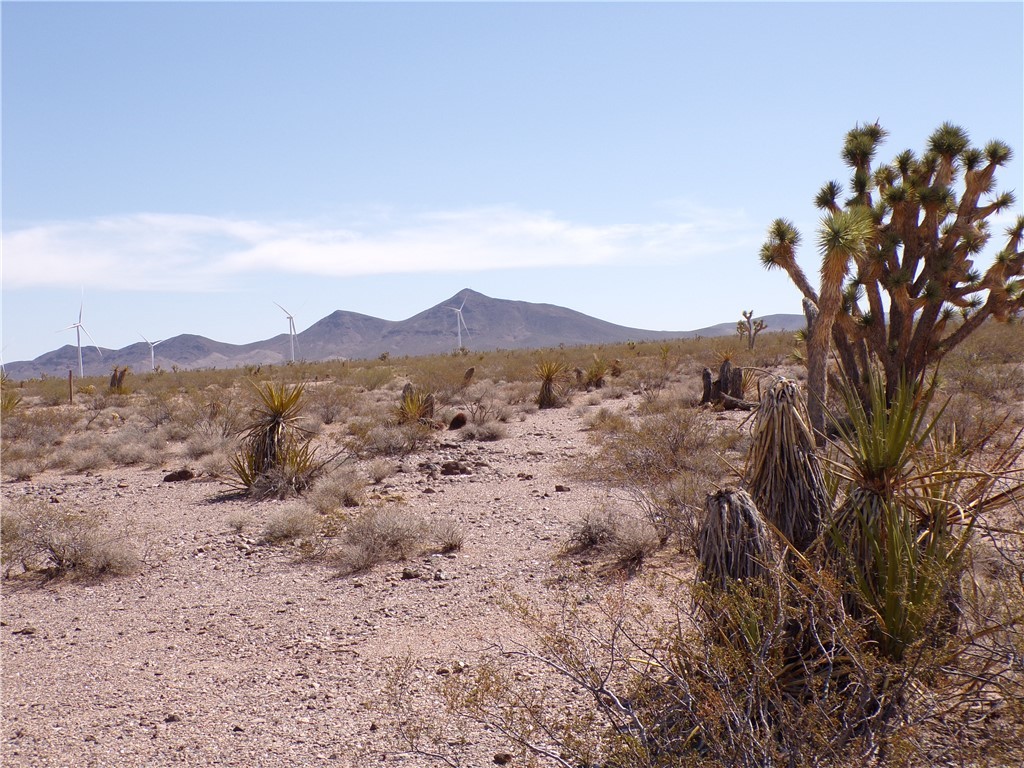 11402 Maverick Drive