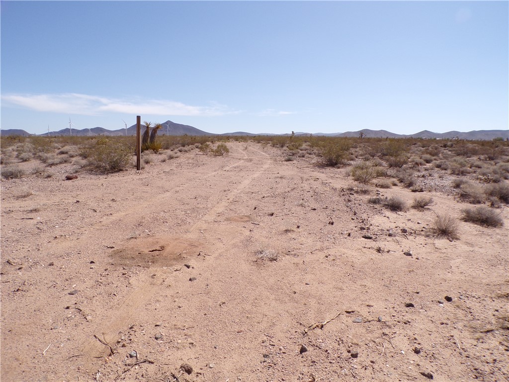 11402 Maverick Drive