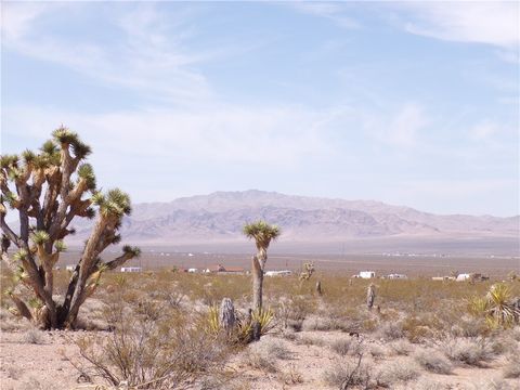 11402 Maverick Drive White Hills AZ 86445