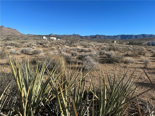 ADDRESS PRIVATE, CHLORIDE, AZ 86431 - Image 41c48002f2ca82ffef08b7bf6ebc2c6f/4230173616
