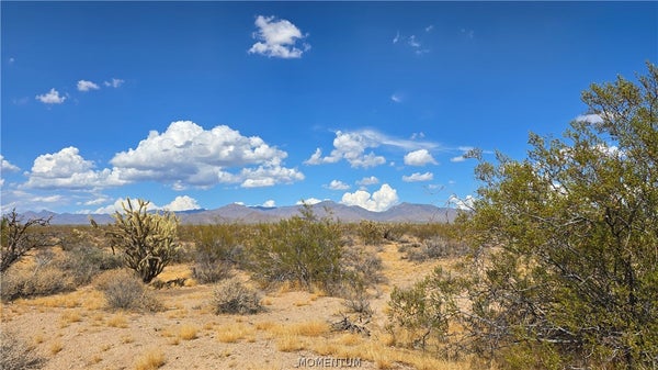 4TH AVE, YUCCA, AZ 86438 - Image 49d21f448abbfb31d176f2bab2962ecf/2429861987