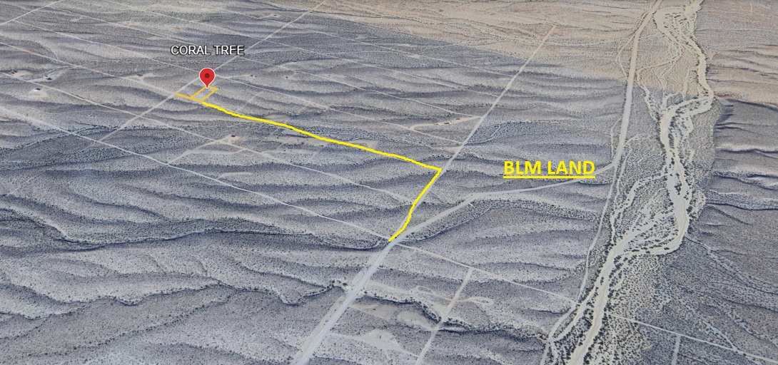 0000 W CORAL TREE Drive