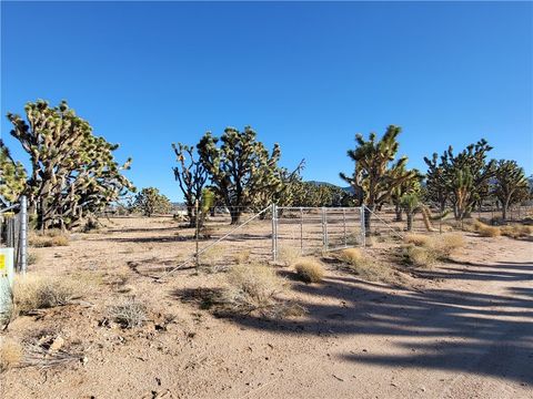 26336 N Pear Avenue Meadview AZ 86444