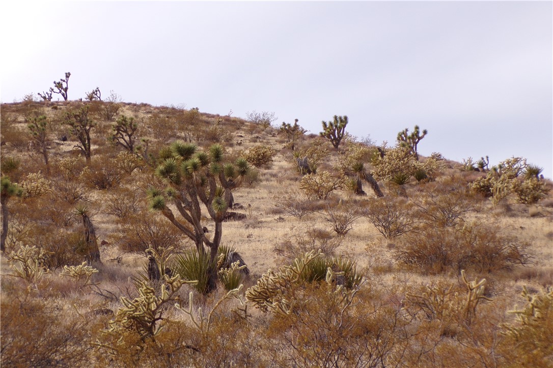 Lot 72 W 20th Street