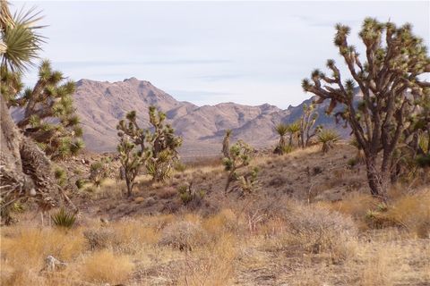 Lot 72 W 20th Street Dolan Springs AZ 86441