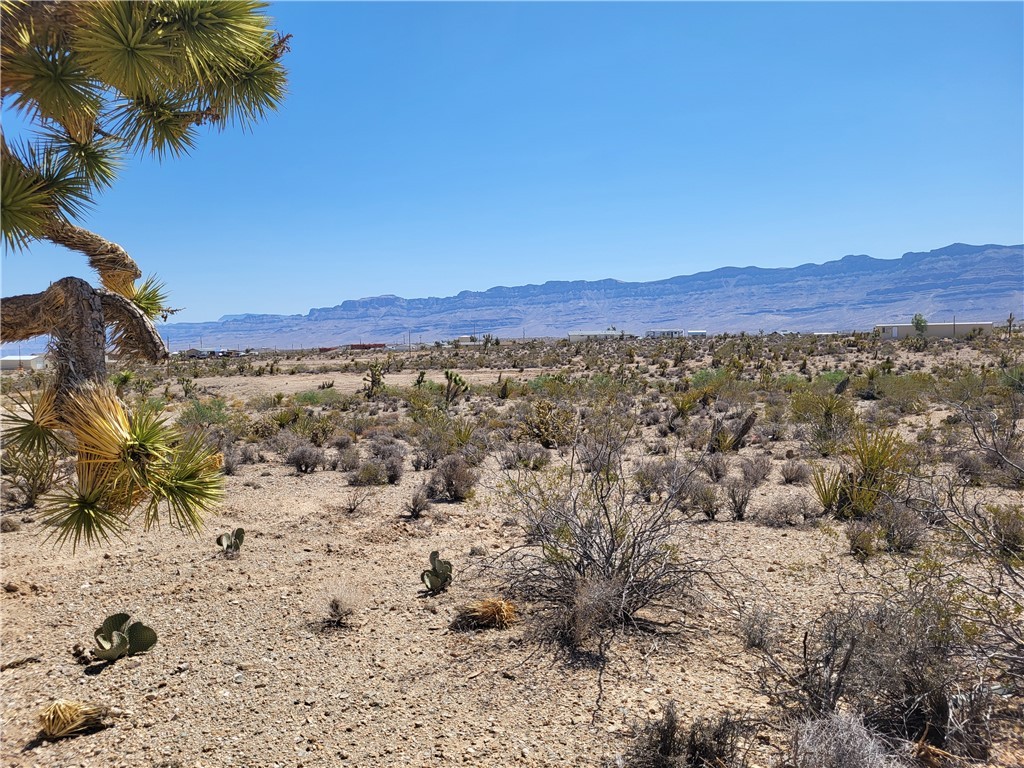 1221 W Calico Drive Unit 4/Lot 1511