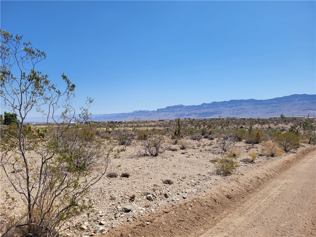 1221 W Calico Drive Unit 4/Lot 1511