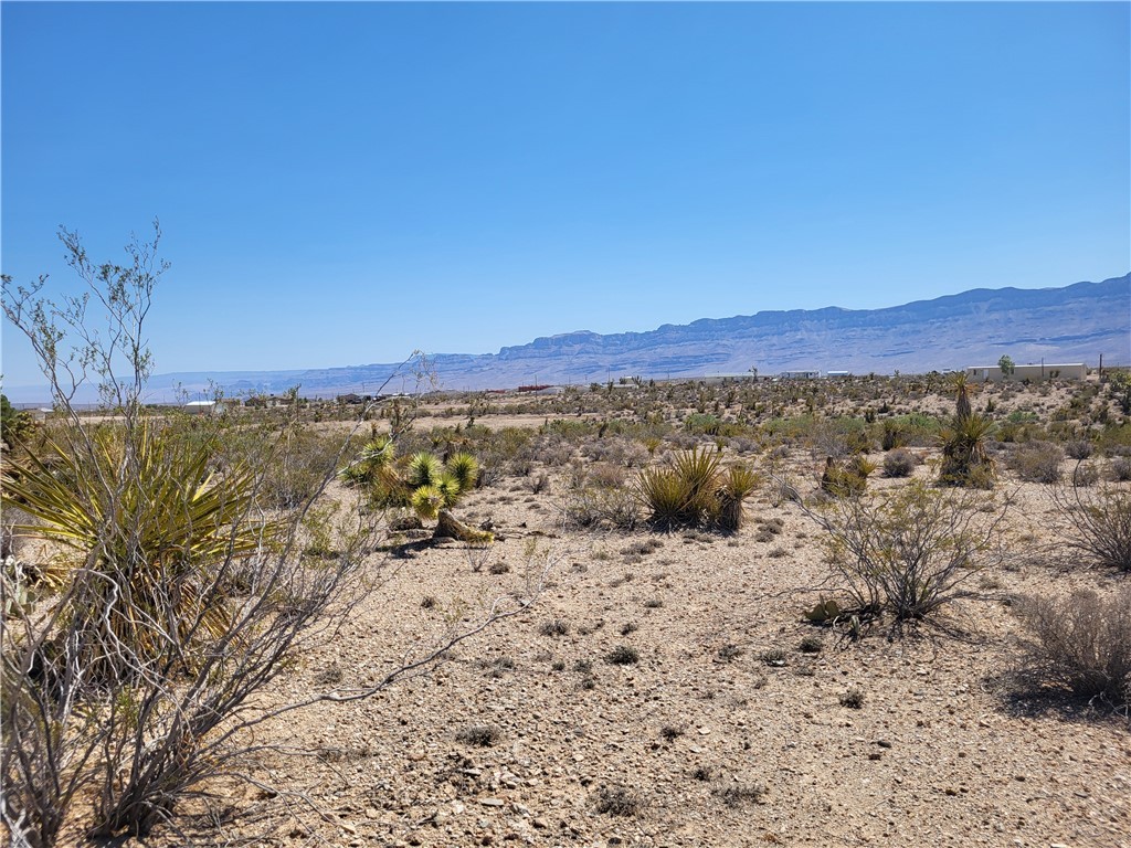 1221 W Calico Drive Unit 4/Lot 1511