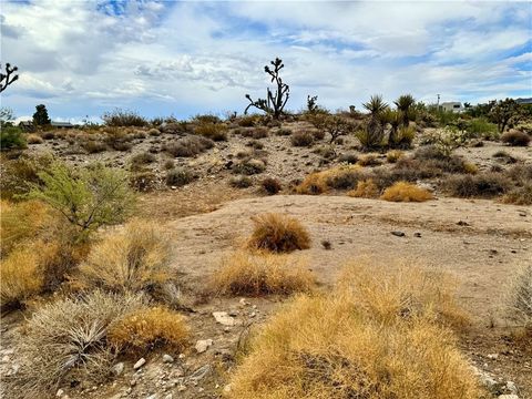 2 Lots Kingman Drive Dolan Springs AZ 86441
