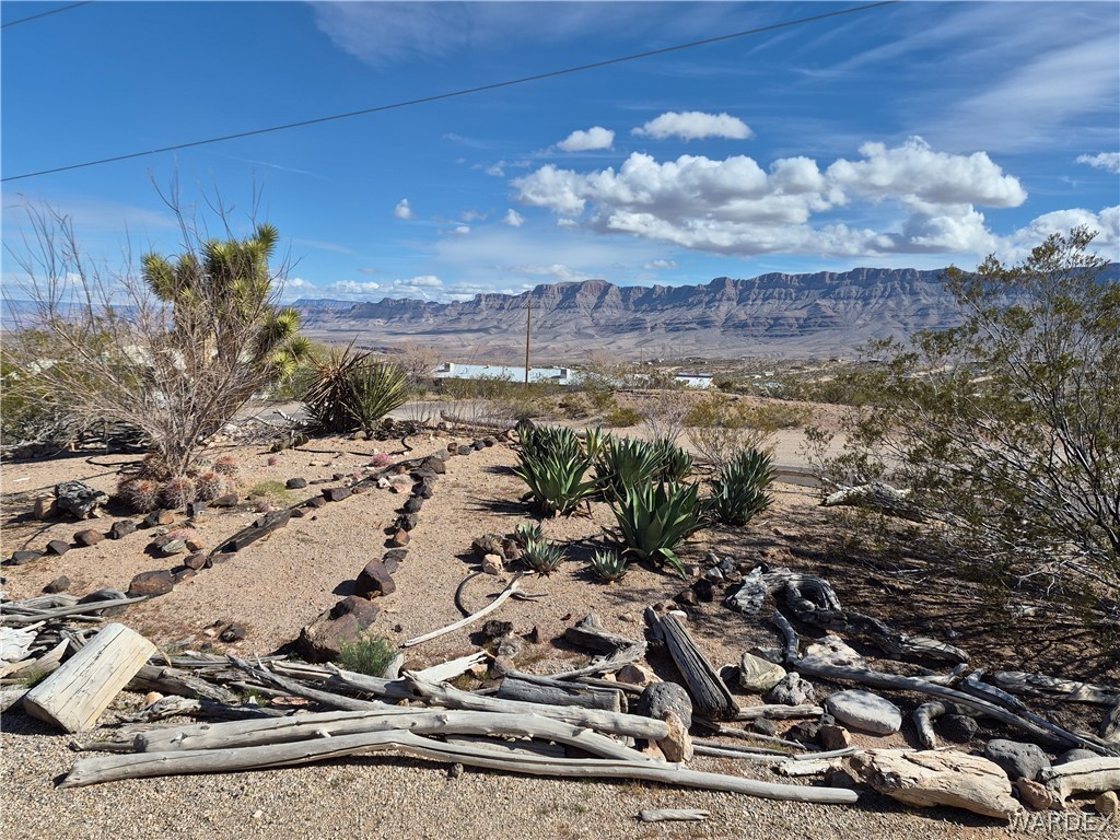 30095 N Sandy Point Drive