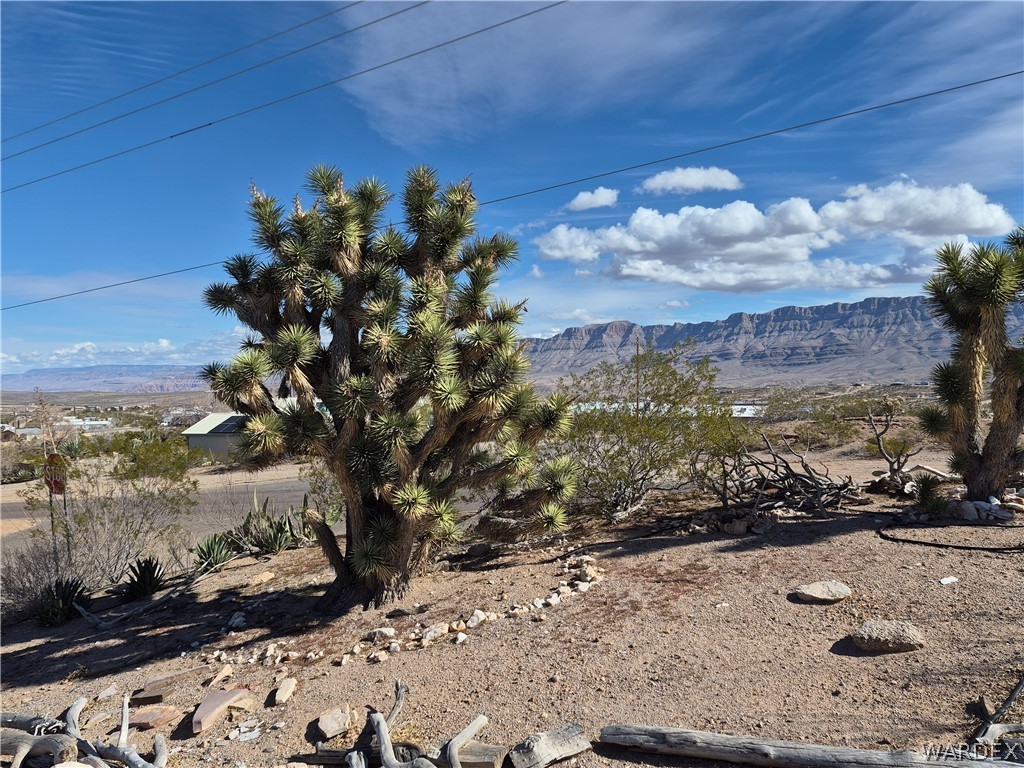 30095 N Sandy Point Drive