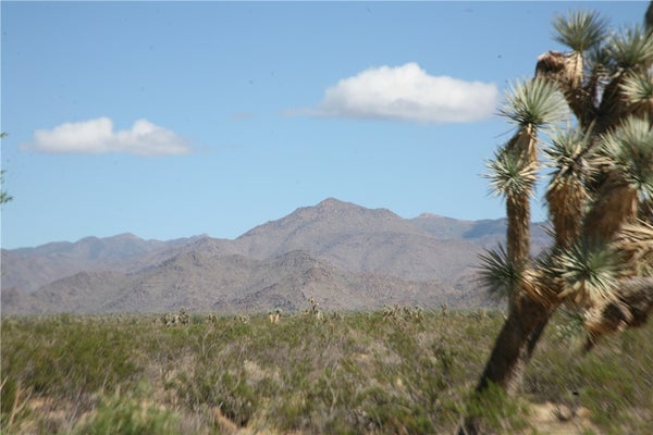 242-33-013 LOT 612 SUNDANCE KID ROAD, YUCCA, AZ 86438 - Image 5c5ffd75f33e06b3c4d55910ed09d0cf/1653360941