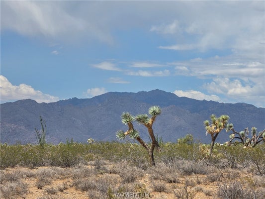 S ALAMO RD, YUCCA, AZ 86438 - Image 6100e2e0e73c10d512299a55fe4e28b3/2393381138