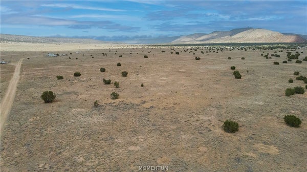 ADDRESS PRIVATE, SELIGMAN, AZ 86337 - Image 61555e2a2bbe94c8a09c259a3e1d0690/118547306