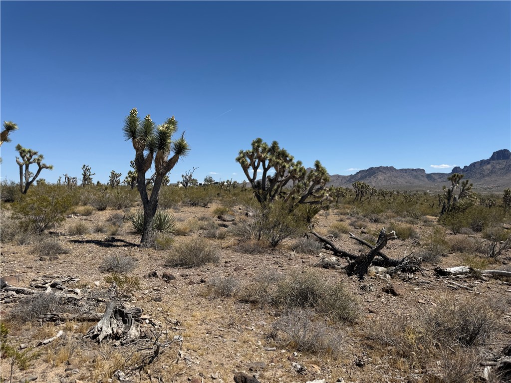 319-08-425 KINGMAN Drive