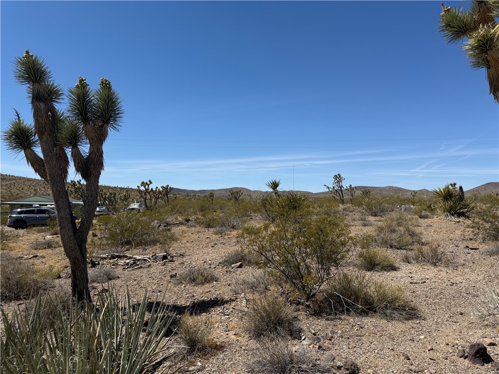 319-08-425 KINGMAN Drive