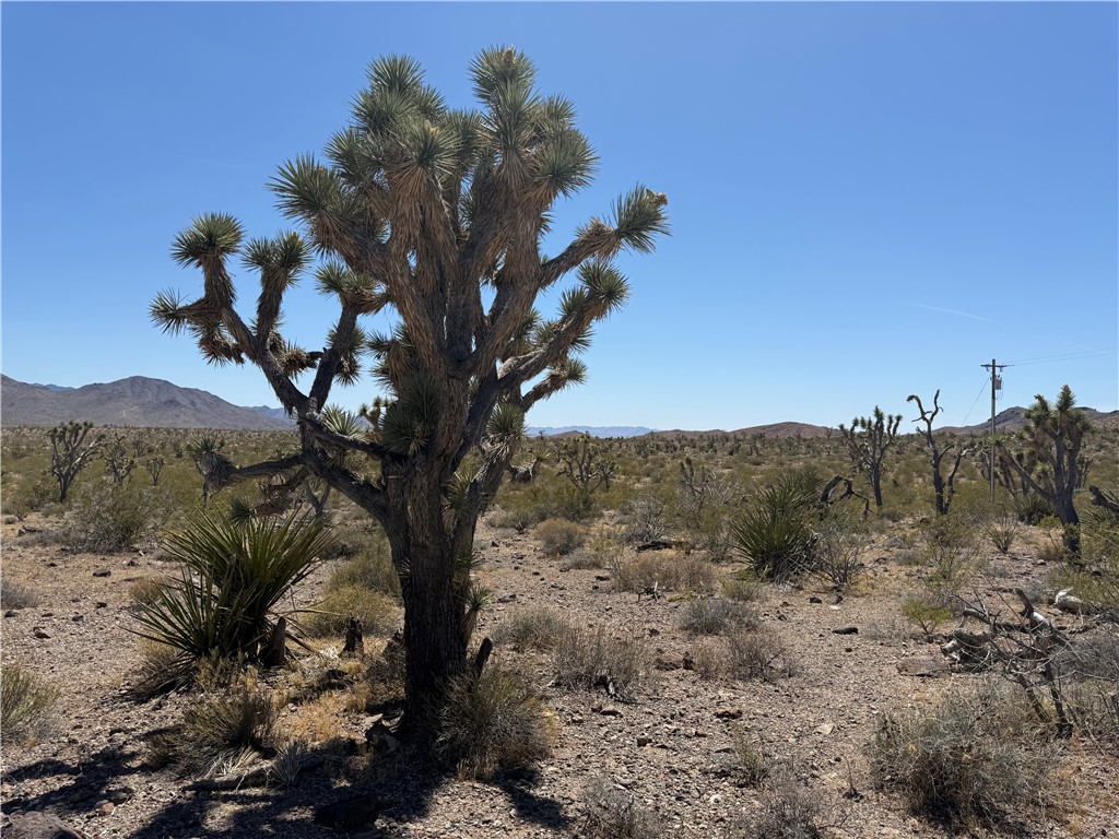 319-08-425 KINGMAN Drive