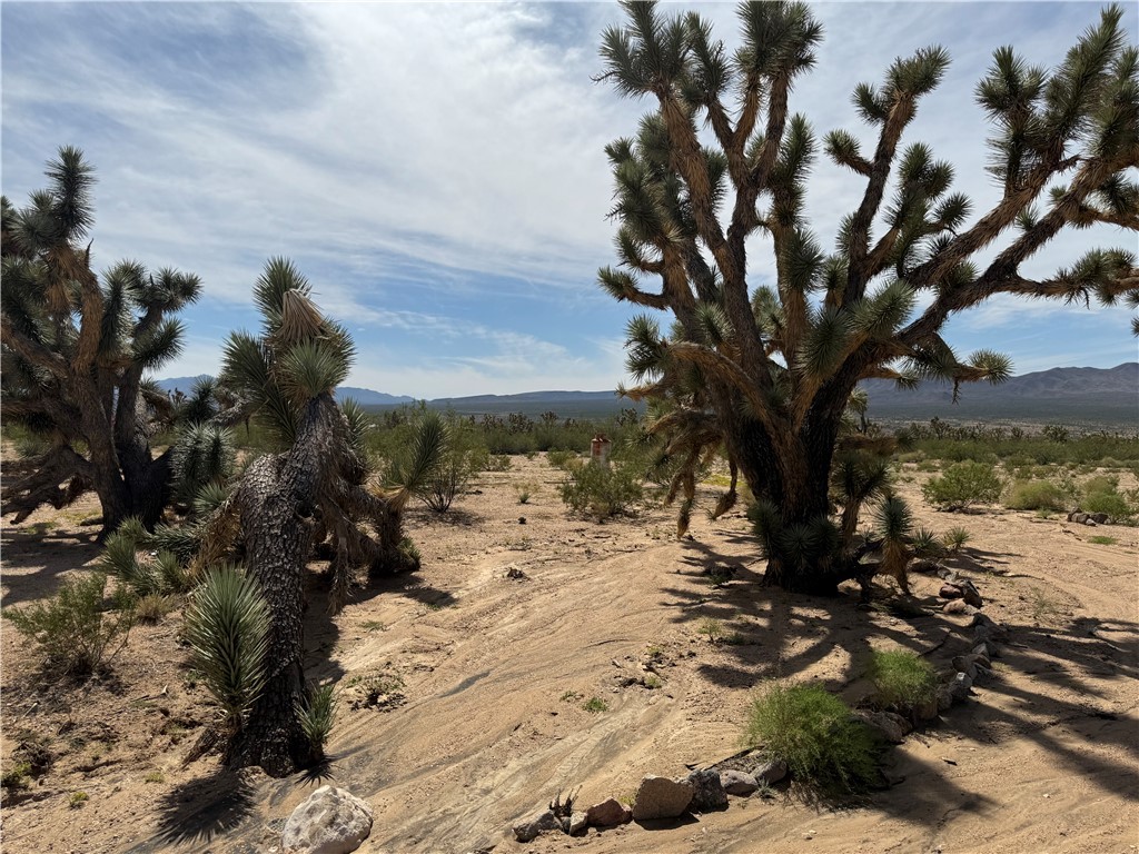 2800 W Cherry Street