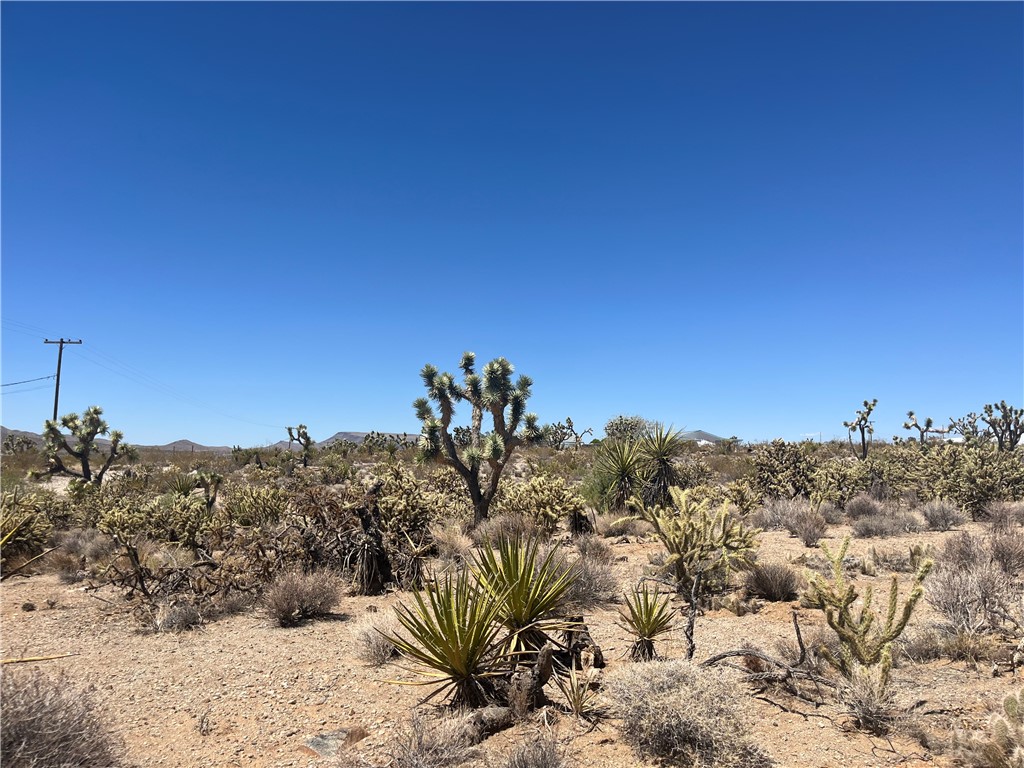 LOT 379 LAKESIDE Drive