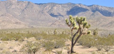 5 ACRES W PAIUTE Drive Meadview AZ 86444