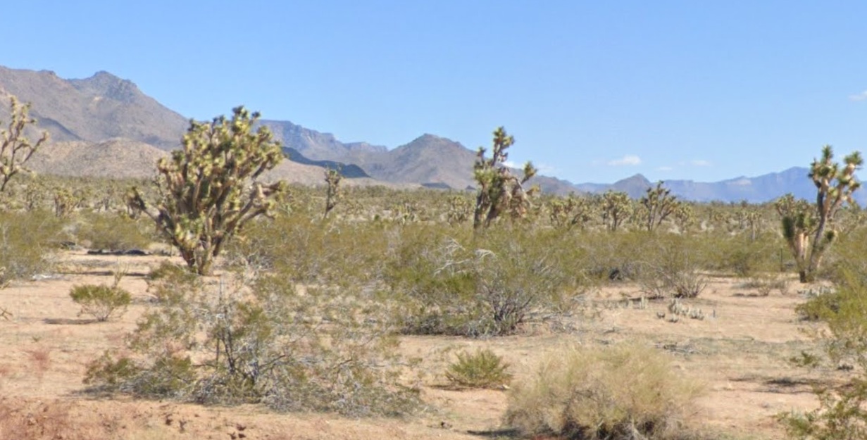 5 ACRES W PAIUTE Drive